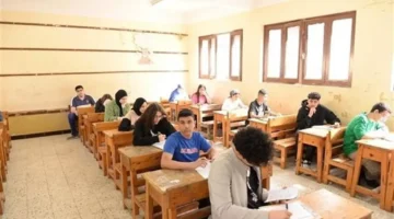 برقم الجلوس.. طرق الاستعلام عن نتيجة الصف الثالث الإعدادي ودرجات المواد الدراسية الكاملة